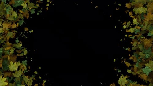 Dynamic Full Screen Animated Autumn Leaves Transition Outer Edge Outer Edge