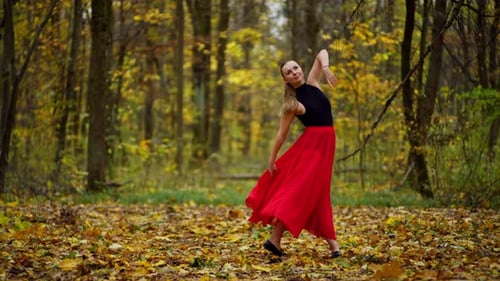 A Woman Performs Her Dance Performance in the Middle of a Large Autumn Forest