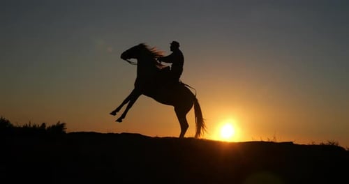 Silhouette of Horse and Rider at Sunset