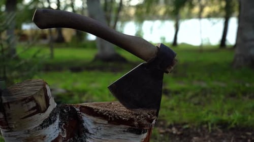 An ax stuck in a wooden stump