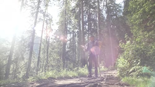 A Guy with a Backpack Walks Through the Forest