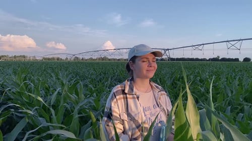 Young Woman Standing in a Lush Green Cornfield