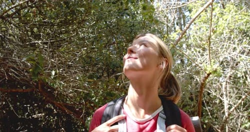 Eine junge kaukasische Frau erkundet einen sonnenbeschienenen Wald und schaut neugierig nach oben