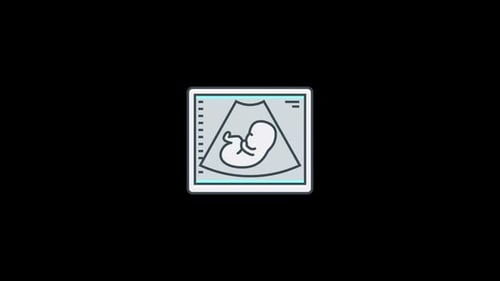 Animated Flat Design Fetus Ultrasound Scan Icon