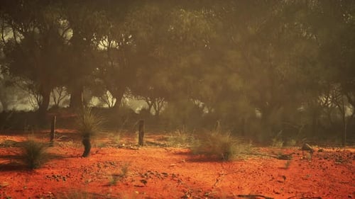 Natures Canvas A Majestic Dirt Field With Serene Trees in the Background