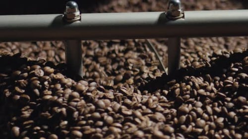 Roasted Brown Coffee Beans in Machine Close Up