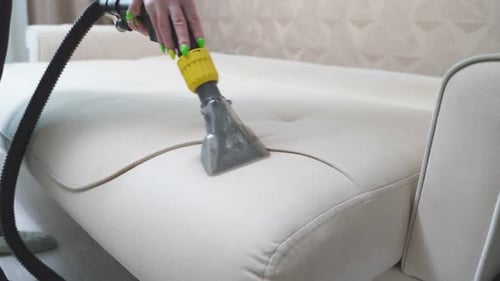 the Cleaning Company Cleans the Sofa