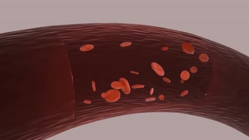 Red Blood Cells