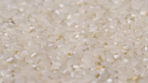 Closeup a White Round Milled Rice Lies Light Protein Food of Japanese Culture Universal Diet Food