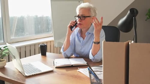 Businesswoman Talking on the Phone at Her Desk