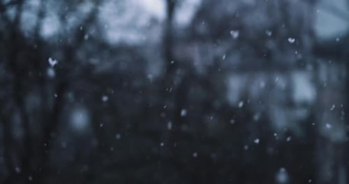 Snow flakes overlay, black background.