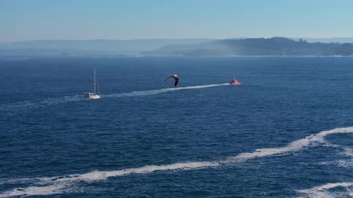 Sail Boat And Rescue Boat Cruising Along The Blue Sea In Summer. - aerial shot