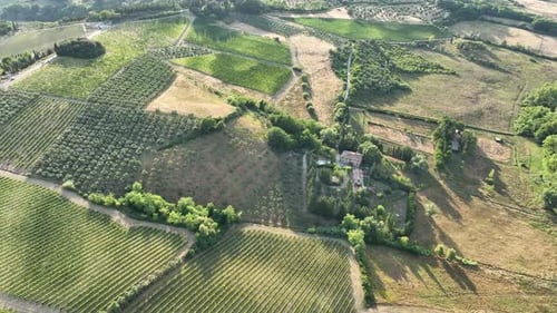 Picturesque Aerial View of Rolling Vineyards and Farmland