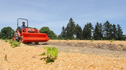 Man Driving Tractor on Farm Agricultural
