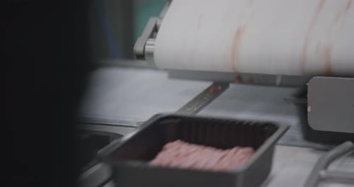Machine Fills Meat Trays on Conveyor Belt