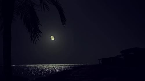 Tropical beach on a full moon night.