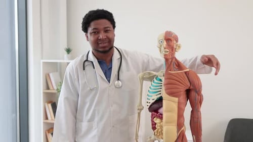 Doctor with Anatomy Model Explaining the Human Body