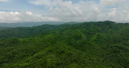Tropical Mountain in the Philippines