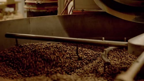 Gorgeous deep brown coffee beans being mixed and roasted in a