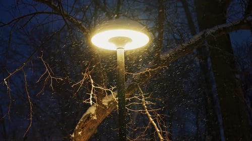 Snowing at Night by Glowing Streetlight in Winter