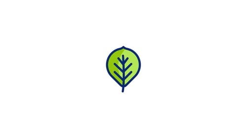 Leaf Animated Icon