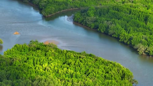 Endless beauty: Thailand's mangrove forests captivate from above.