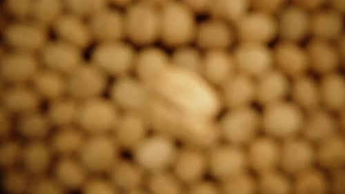 Close Up of Walnuts on Black Background