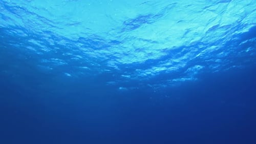 Mar azul tropical submarino