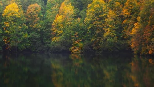 Colorful Fall Trees Surrounding a Quiet Pond