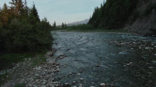 Aerial View of Mountain Brook or River Flowing in the Green Valley