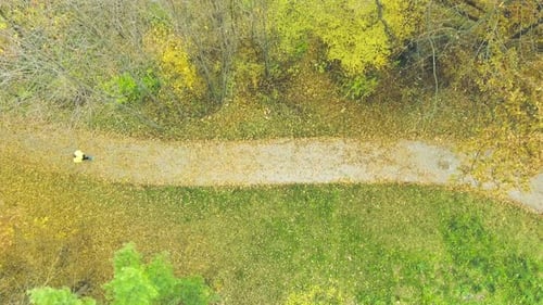 Young man running an autumn trail in a beautiful forest aerial view