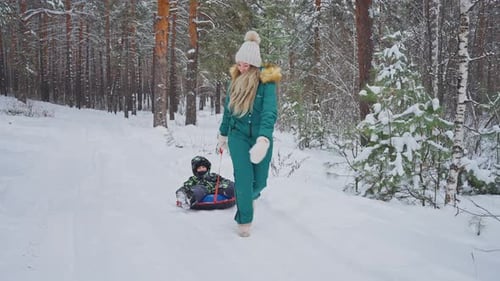 Sledding Adventure in Snowy Forest with Joyful Child and Parent