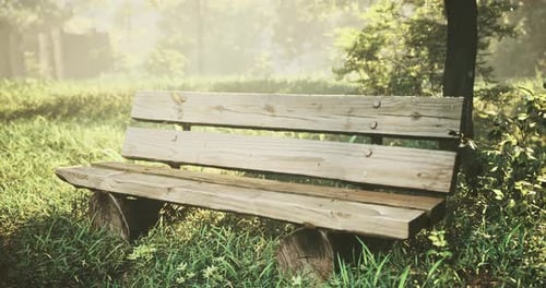 Empty Wooden Bench in a Sunny Forest Park