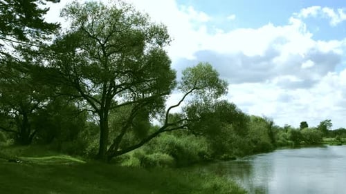Riverside Landscape. Beautiful Natural Scenery Of River. Summer Landscape With River And Green Ba...