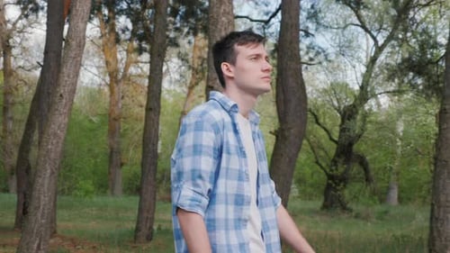 Amidst the Beauty of the Pine Forest a Young Man Takes a Leisurely Walk
