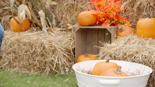 Woman Adjusts Pumpkins in an Autumn Display