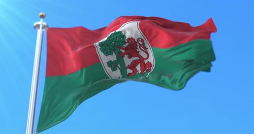 Waving Flag With Red And Green Colors And Heraldic Crest