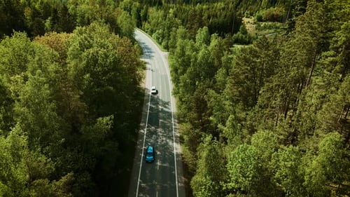 Vehicles Moving on Forest Highway Blue Hatchback and White Sedan Cruising Along Sunlit Woodland Road