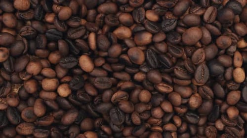 Roasted Coffee Beans Texture Background Camera Moving Top View Close Up