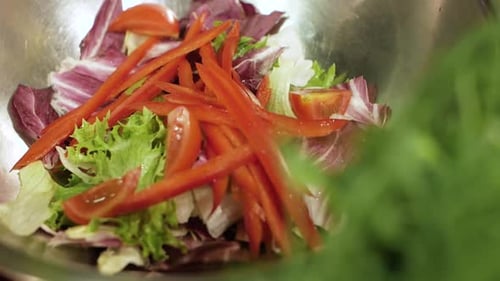 Le chef prépare une délicieuse salade à l'avocat et au poulet grillé au Ralenti