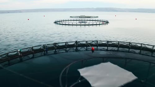 Circular Fish Farming Structure Illuminated By Sunset Over Tranquil Water in a Serene Lake