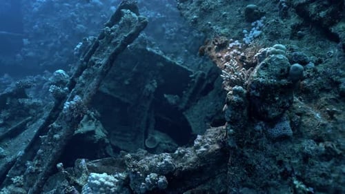 Exterior View of the SS Carnatic Wreck, Abu Nuhas Reef, Red Sea