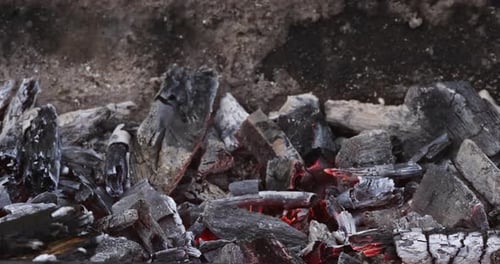 Close Up of Fire and Burning Charcoal