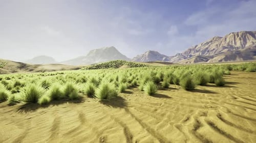 Scenic Desert Landscape Motion Graphic with Green Bushes