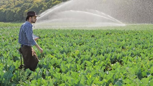 Farmer Using Digital Tablet During Monitoring His Plantation