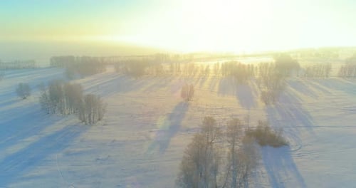Aerial Drone View of Cold Winter Landscape with Arctic Field Trees Covered with Frost Snow and