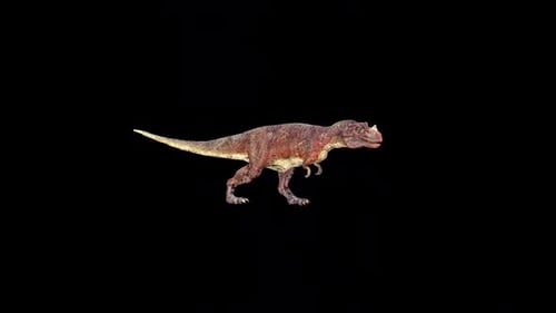 Wild Ceratosaurus Walk 3