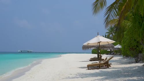 Tropical Beach with gentle waves palm trees lounge chairs and umbrellas