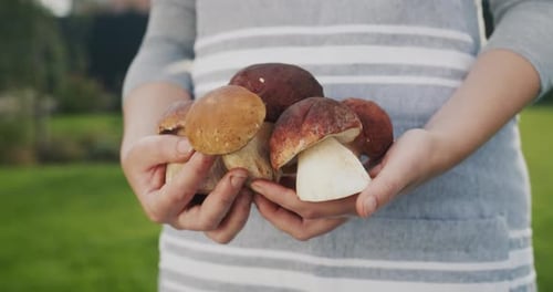 Woman Holds Freshly Picked Wild Mushrooms
