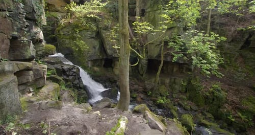Gentle Waterfall Flowing in Lush Green Forest